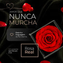 Colar Rosa Eterna Preservada + Colar "Eu Te Amo" em 100 Idiomas